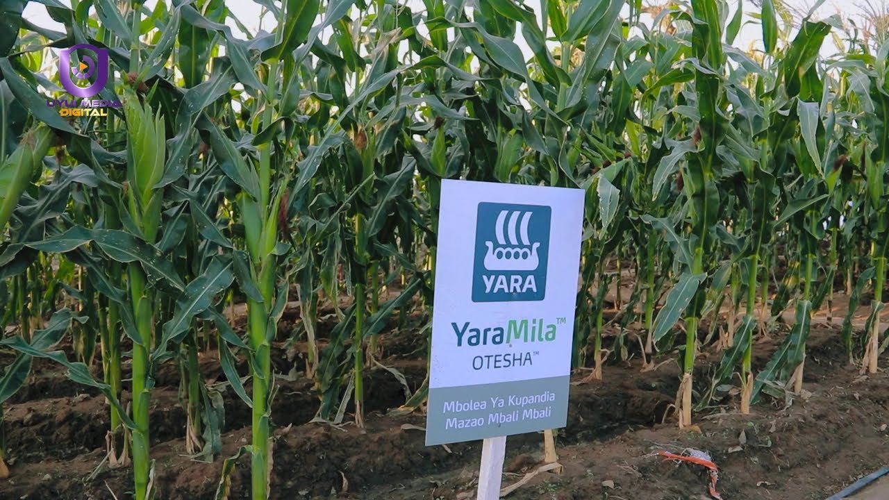 YARA YAJIPANGA KWA MSIMU MPYA KWA WAKULIMA KWA MBOLEA ZENYE UBORA.