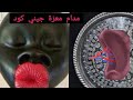لايف جيني كود المحذوف الإتجار بالأعضاء البشرية جريمة الإسترزاق بالأموات جريمة Jinigood64 لايف جيني كود المحذوف الإتجار بالأعضاء البشرية جريمة الإسترزاق بالأموات جريمة Jinigood64