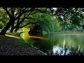 Stay Focused for Hours  Deep Work Ambient Music