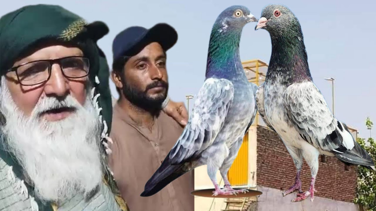 Ustad Rzwan Ustad Abrar Ahmed Khan of Piplan key shagard Ustad Malik Rizwan Truck ...