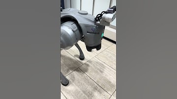 #STIQRobotics event #8 @unitreerobotics dog dance