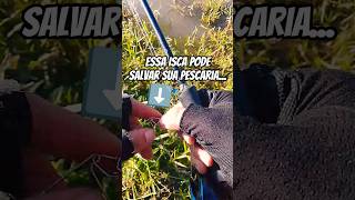 Spinner bait, salvando o dia mais uma vez.🎣#pescaria #traira #hopliasmalabaricus #fishing