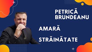 Petrică Brundeanu - Amară străinătate chords