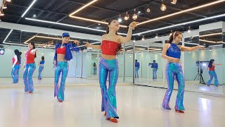 둥지 라인댄스 | 초급 | 남진 오빠 | A Nest line dance| 트롯트| 사단법인 라인댄스 위더스 코리아 협회 LDWKA