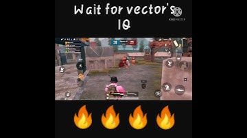 Wait for vector
