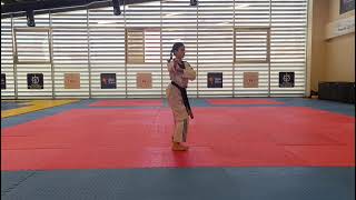 Türkiye Taekwondo 7th Dan Basic Movements Series Ceylin Garip 
