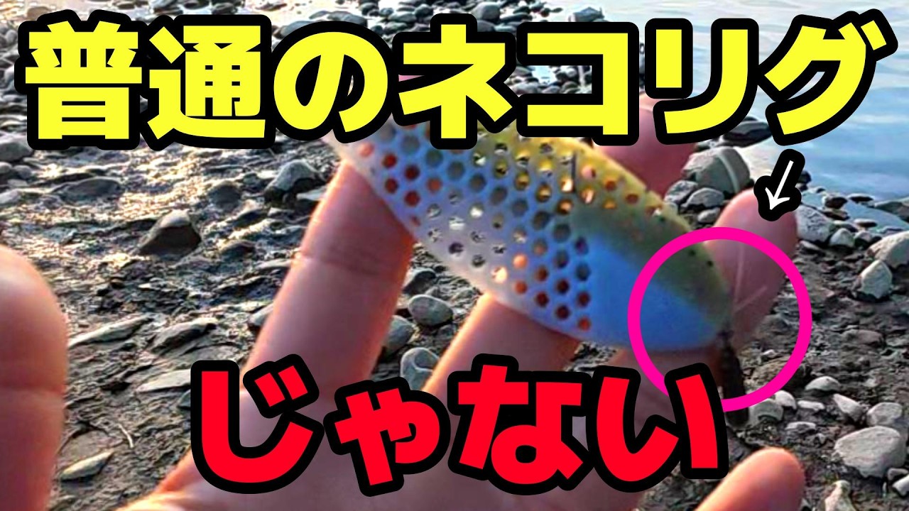 Can you really catch fish with this Neko rig even after the worm