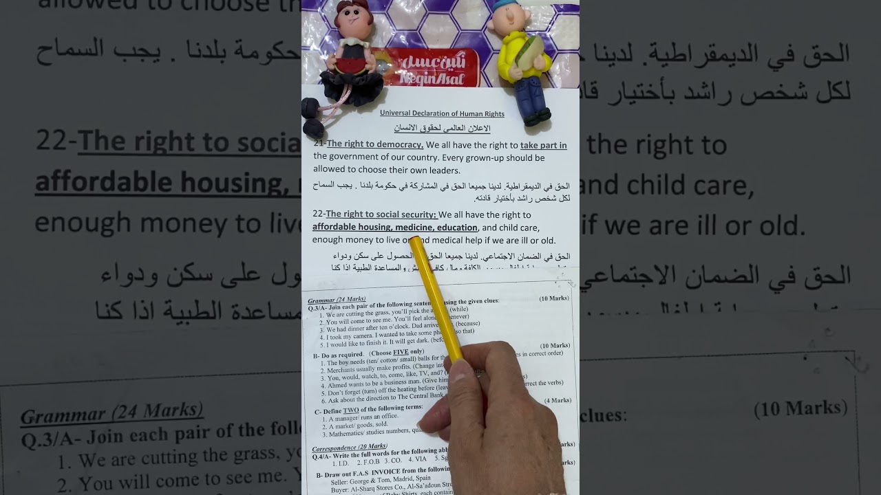 Unit six / السادس المهني / القسم التجاري/ /the universal declaration of human rights