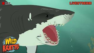 Download Lagu 🔴 LIVE | Wild Kratts Winter Holiday Full Episode Marathon ❄️🦒 MP3