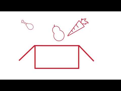 How does the CSFP program work