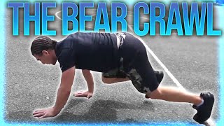 The Number 1 Core Stability Exercise: The Bear Crawl