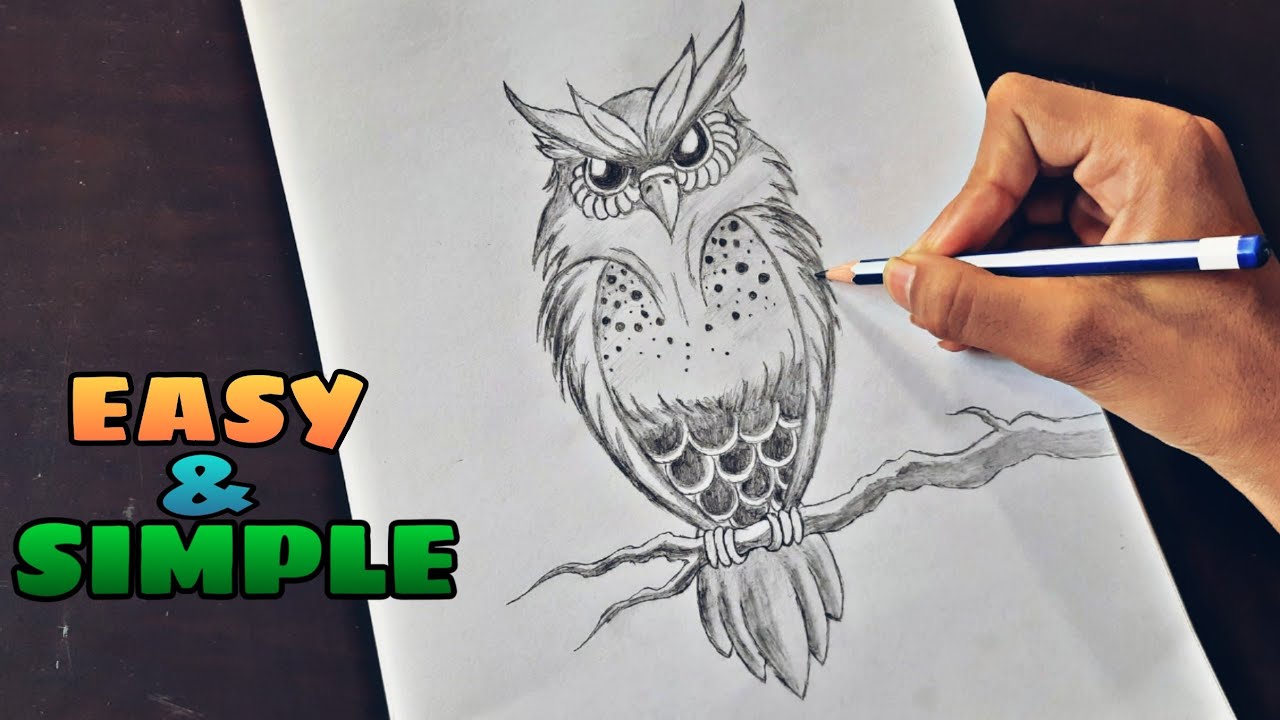 How to Draw Great Horned Owl Easy for Beginners FREAKY ARTIST
