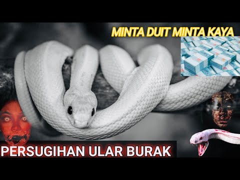 Mahbuslar bilan kema halokati, orolda omon qolgan bir kishi haqida film, porno