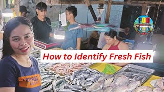 How To Identify Fresh Fish Philippines Wet Market Aira Fish Stall Davao City