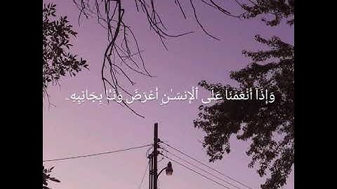 "سنريهم آياتنا في الآفاق"