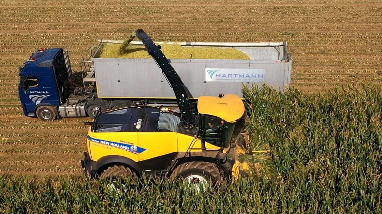 New Holland FR780 met 775 pk in de mais