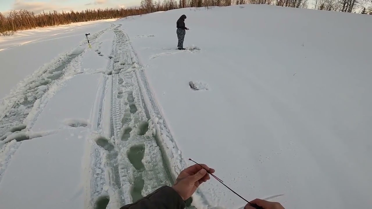Классная весенняя рыбалка на хариуса и щуку! День первый  08 04 2022   смотреть видео онлайн от Это