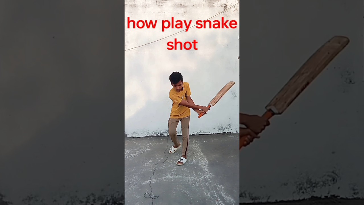 how to play snake shot 