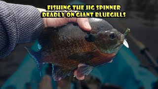 Catching Giant Bluegills with a Jig Spinner (Iona Lake NJ)