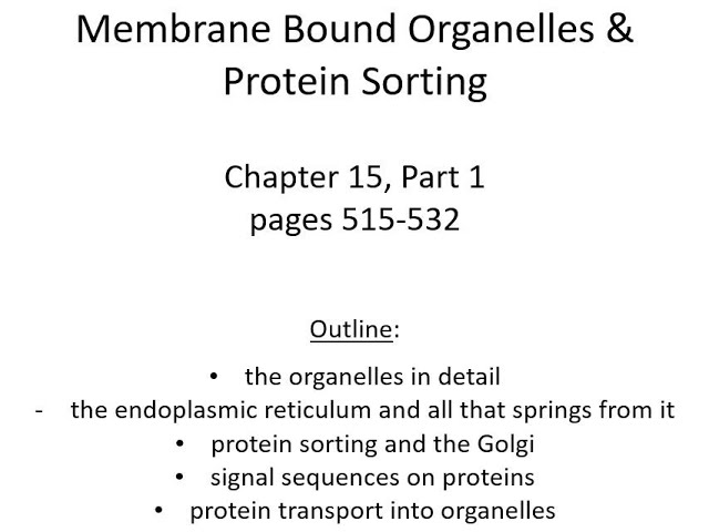 Lecture 16 Membrane Organelles and Protein Transport Ch 15 Part 1