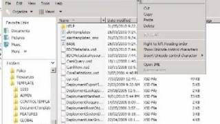 Installing Acrobat PDF icon into SharePoint Foundation 2010