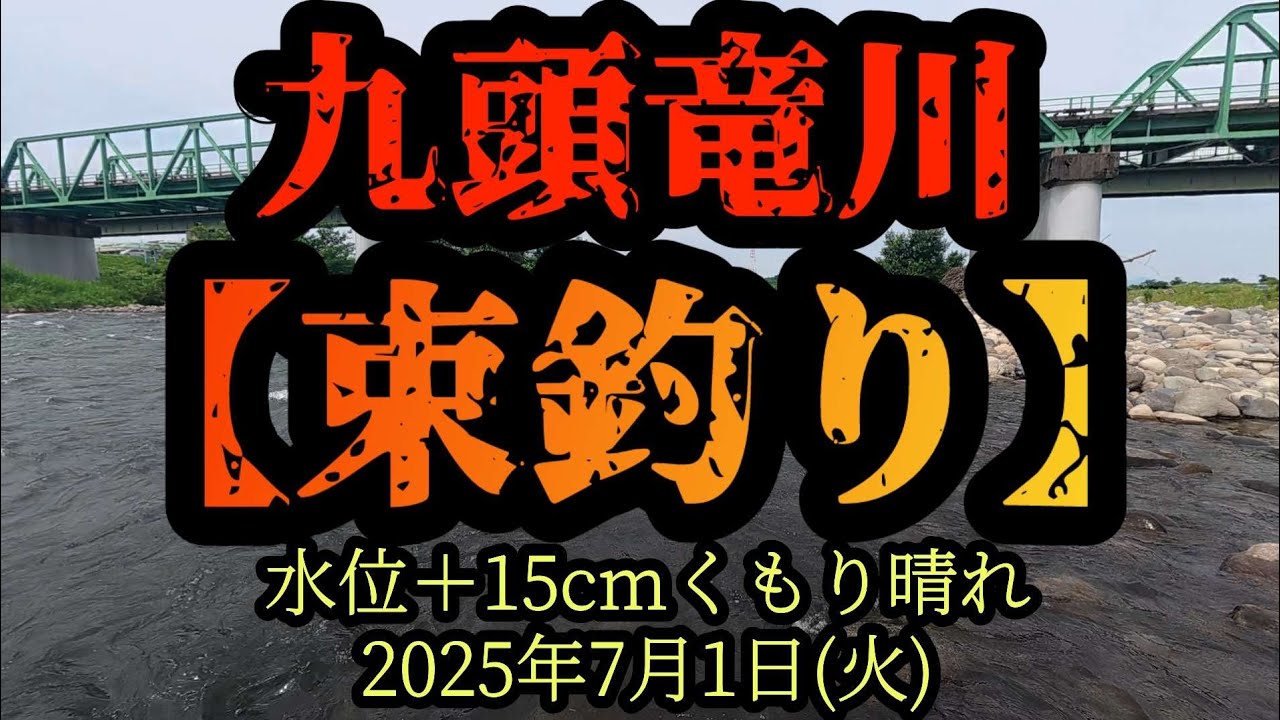 【束釣り】100匹達成！　九頭竜鮎の神様に「20cmを20匹釣らせて下さい。」とお願いしたら？　2025年7月1日
