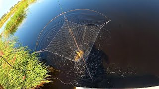 видео: ТУТ РЫБЫ ПРОСТО НЕМЕРЕНО! СОБРАЛИ ПАУКИ И РЫБАЧИМ ПРЯМ С ТРАССЫ. ОКОВАЛКИ- КАРАСИ НА ПАУК-ПОДЪЁМНИК картинка: ТУТ РЫБЫ ПРОСТО НЕМЕРЕНО! СОБРАЛИ ПАУКИ И РЫБАЧИМ ПРЯМ С ТРАССЫ. ОКОВАЛКИ- КАРАСИ НА ПАУК-ПОДЪЁМНИК