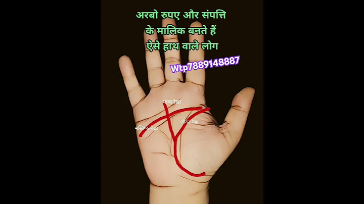 अरबपति योग #palmistry #palmreading #astrology #vastu #vastushastra #jyotish #palmstudy #palmistry