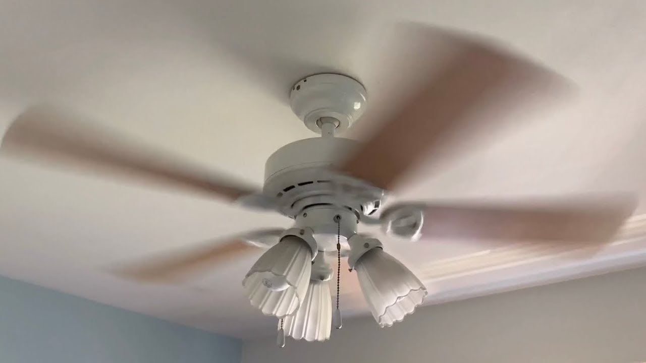 NCFD Ceiling Fans In My House Running On All Speeds + Collection YouTube