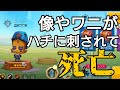 LV10スージー【ZOOBA】【バトルモン】