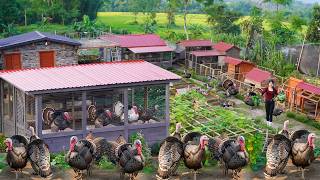Complete 100% Beautiful Coop To Raise Many Turkeys - The Farm Scenery At Night is Beautiful