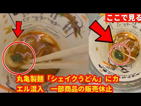 丸亀製麺「シェイクうどん」にカエル混入、本社が事実認め謝罪 一部商品は販売休止「再発防止に努める」|| PK Voice 3