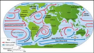 Assignment 3 - Ocean Gyres