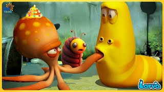 LARVA SEASON 1 EPISODE 248: GIANT SQUID SPOT | CARTOON NEW VERSION | FUNNY CLIP 20245