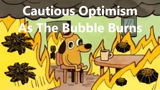 Elite Dangerous | Dry Commentary | Cautious Optimism As The Bubble Burns
