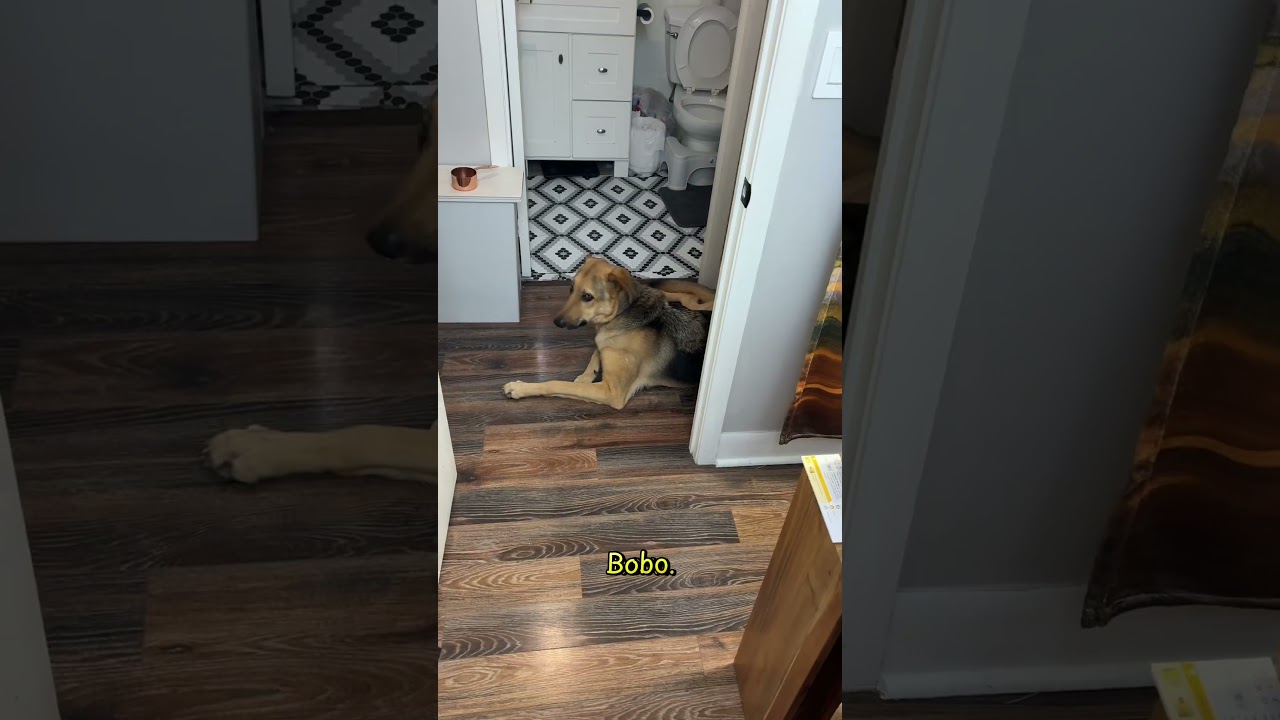 How do you #organize your #boardgame collection. #ikeahack