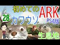 【アーク初心者0からガイド#28】カワウソの生息地や出現場所!(アイランド)【ARK Survaival Evolved PS4版】