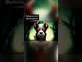 Hellhounds --Myth Across Time? Or a true PARANORMAL phenomenon? #unexplained #paranormal #folklore