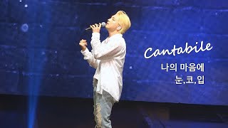 230812 태양 나의 마음에 (SEED) + 눈코입  |  Cantabile