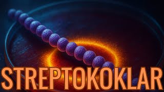 STREPTOKOKLARA GENEL BAKIŞ | Mikrobiyoloji