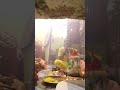 jhal Baja karke Mantra dwara Devi ka Patan