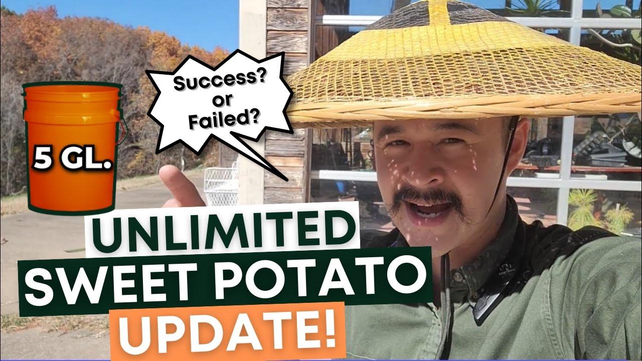 How to Recycle your Old Potting Soil Create a Rich Compost at Home YouTube