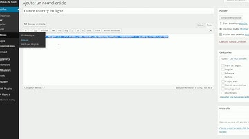 Comment intégrer un vidéo youtube dans Wordpress