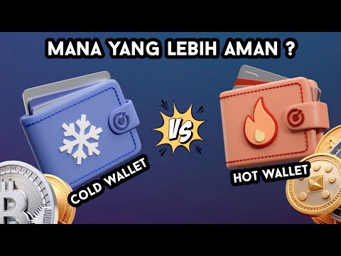 Hot Wallet vs Cold Wallet: Mana yang Lebih Aman ?