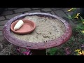 How to Make a Butterfly Puddling Station