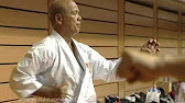 Uechi Ryu Yakusoku Kumite - Slow Motion - YouTube