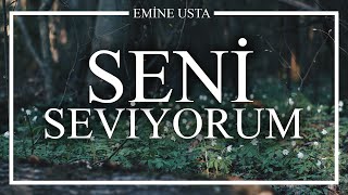 Emre Özdemir - Seni Çok Seviyorum (Emine Usta) Resimi