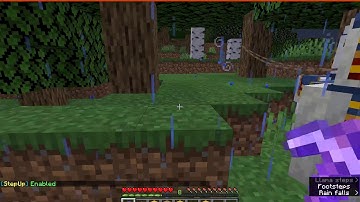 StepUpNext 1.13.2 Rift & 1.14.4/1.15.1 Fabric Mod/Follow Up Overview