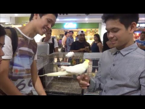 J Mall Exotic Animal Exhibition J Mall Exotic Animal Exhibition