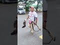 MBDK laksana operasi kawalan gagak demi kebersihan Bandar Klang